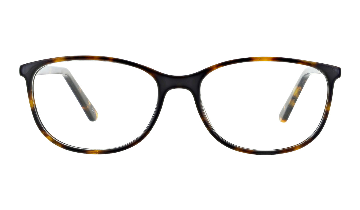 Lazer_4148_Tort_Front_web_1200